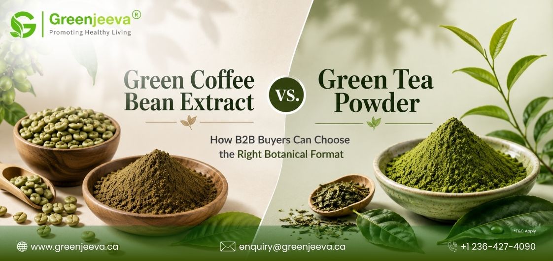 Standardized Extract or Botanical Powder? How to Choose Between Bulk Green Coffee Bean Extract and Green Tea Powder